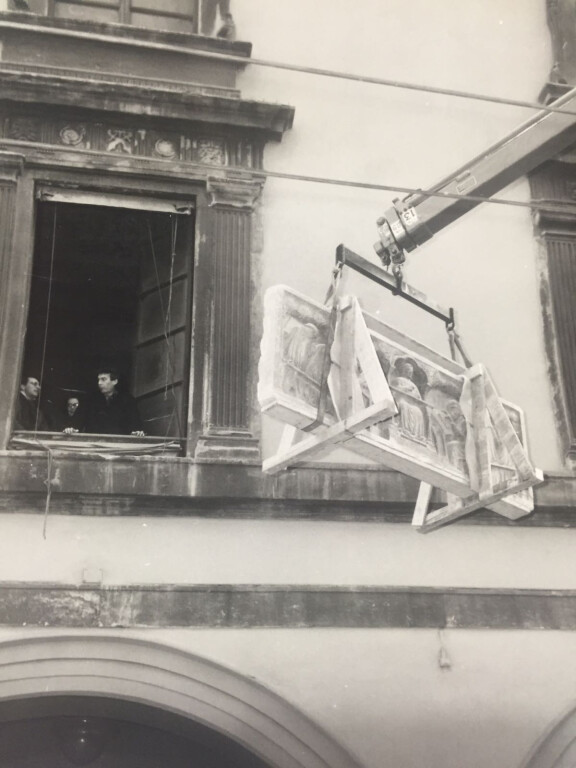 copertina di Il Museo Civico Medievale compie 40 anni!