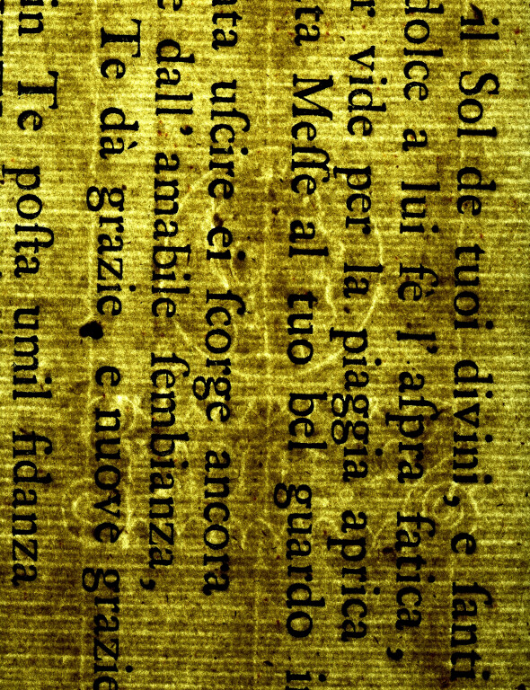 image of ID. 172 testa di profilo cerchiata, PONTECHIO