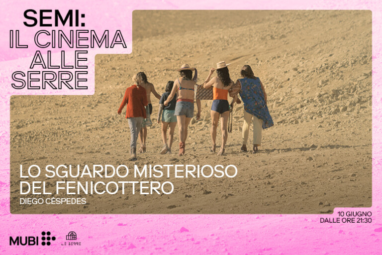 cover of Proiezione di «The Mysterious Gaze of the Flamingo» 