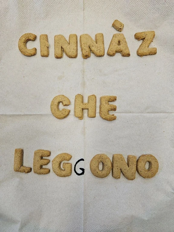 cover of Cinnaz che leggono