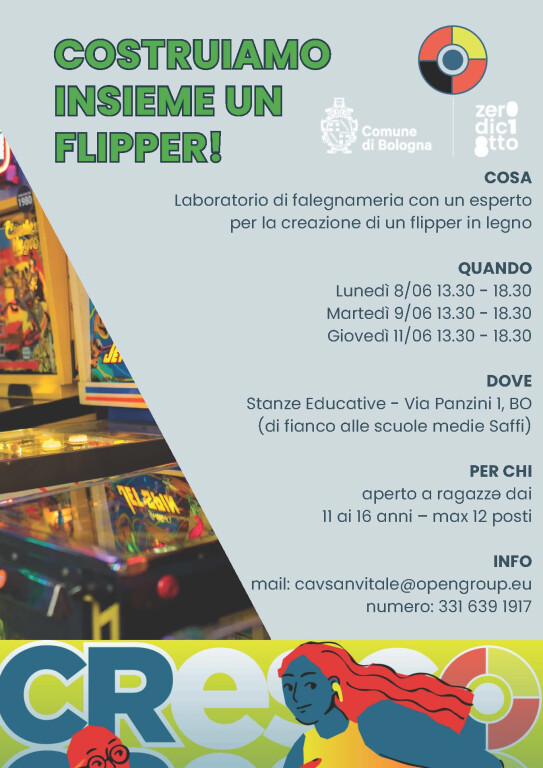 immagine di Costruiamo insieme un Flipper
