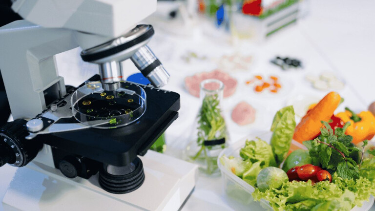 immagine di ALIMENTAZIONE, SALUTE E AMBIENTE