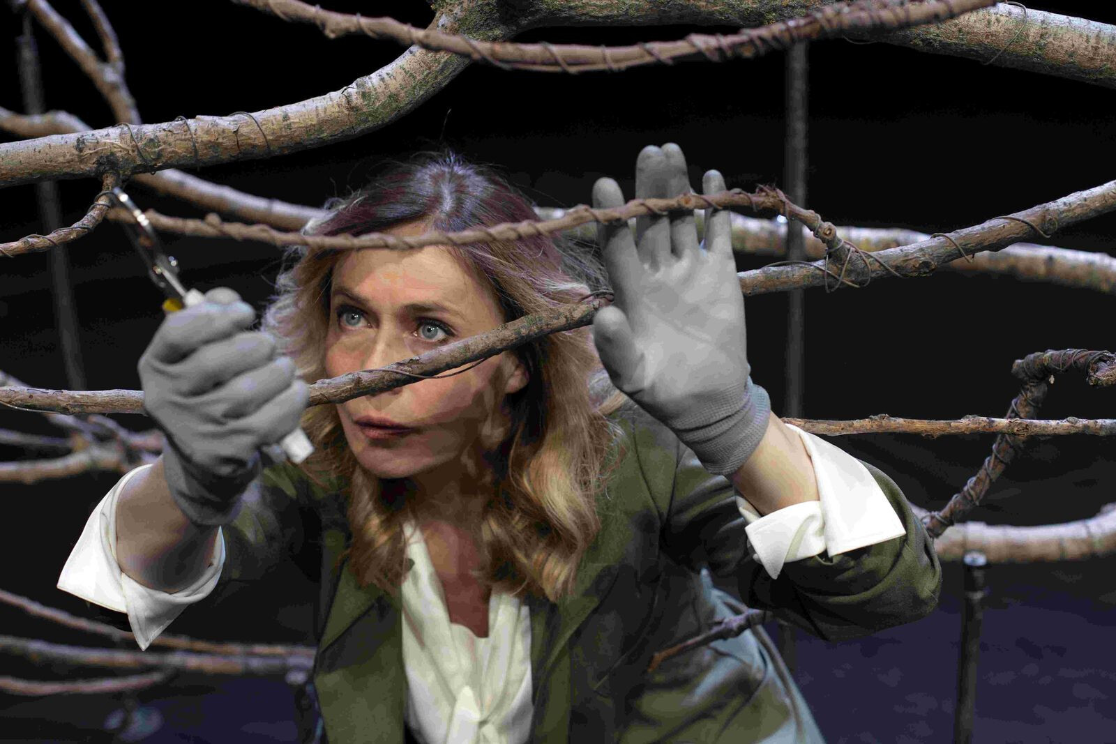 copertina di Il Sen(n)o