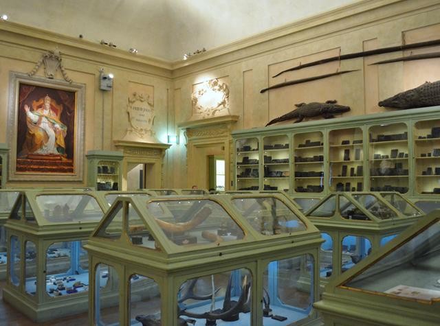 Museo di Ulisse Aldrovandi in Palazzo Poggi 