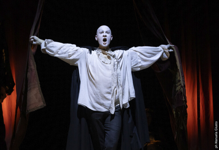 copertina di Mephisto. Romanzo di una carriera