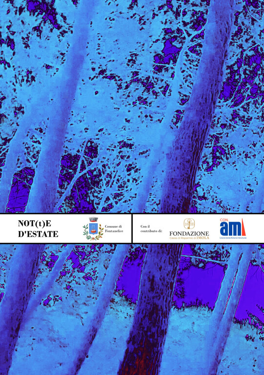 copertina di Not(t)e d'estate