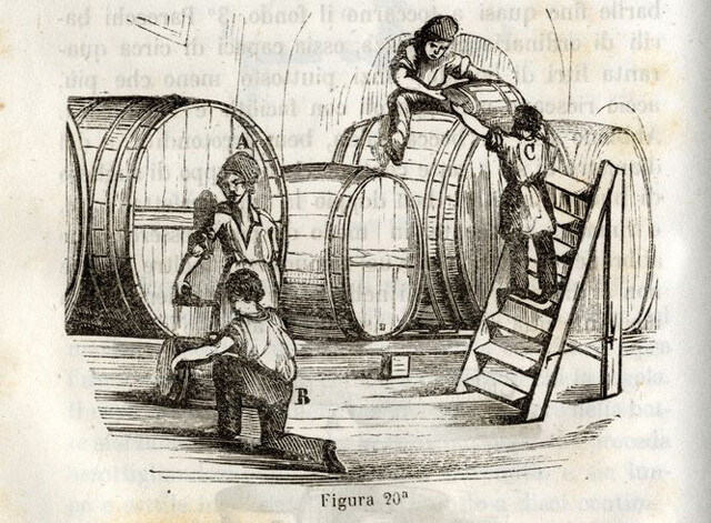 Francesco De Blasiis, Istruzione teorico-pratica sul modo di fare il vino e conservarlo