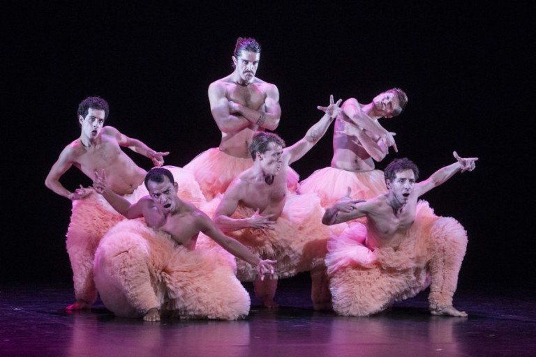 Tutu.jpg