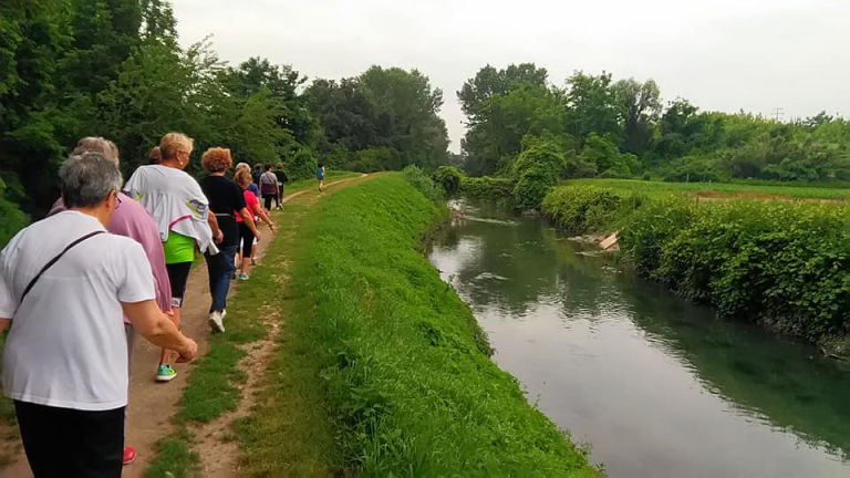 copertina di Trekking urbano lungo il Navile