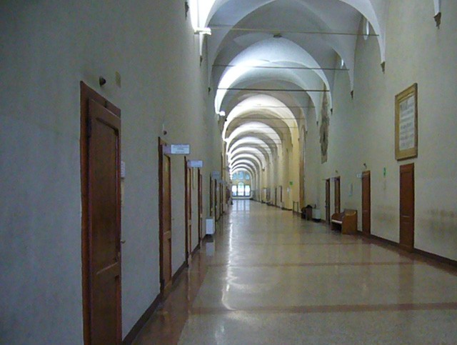 La "manica lunga" dell'Istituto Rizzoli (BO)