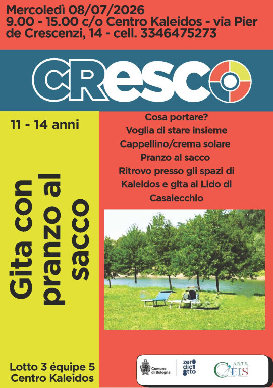 copertina di Gita con pranzo al sacco