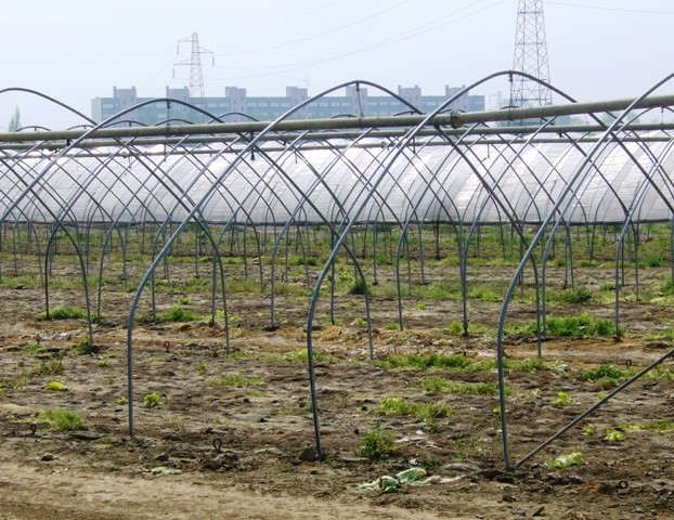 Campagna e cemento - Virgolone del Pilastro