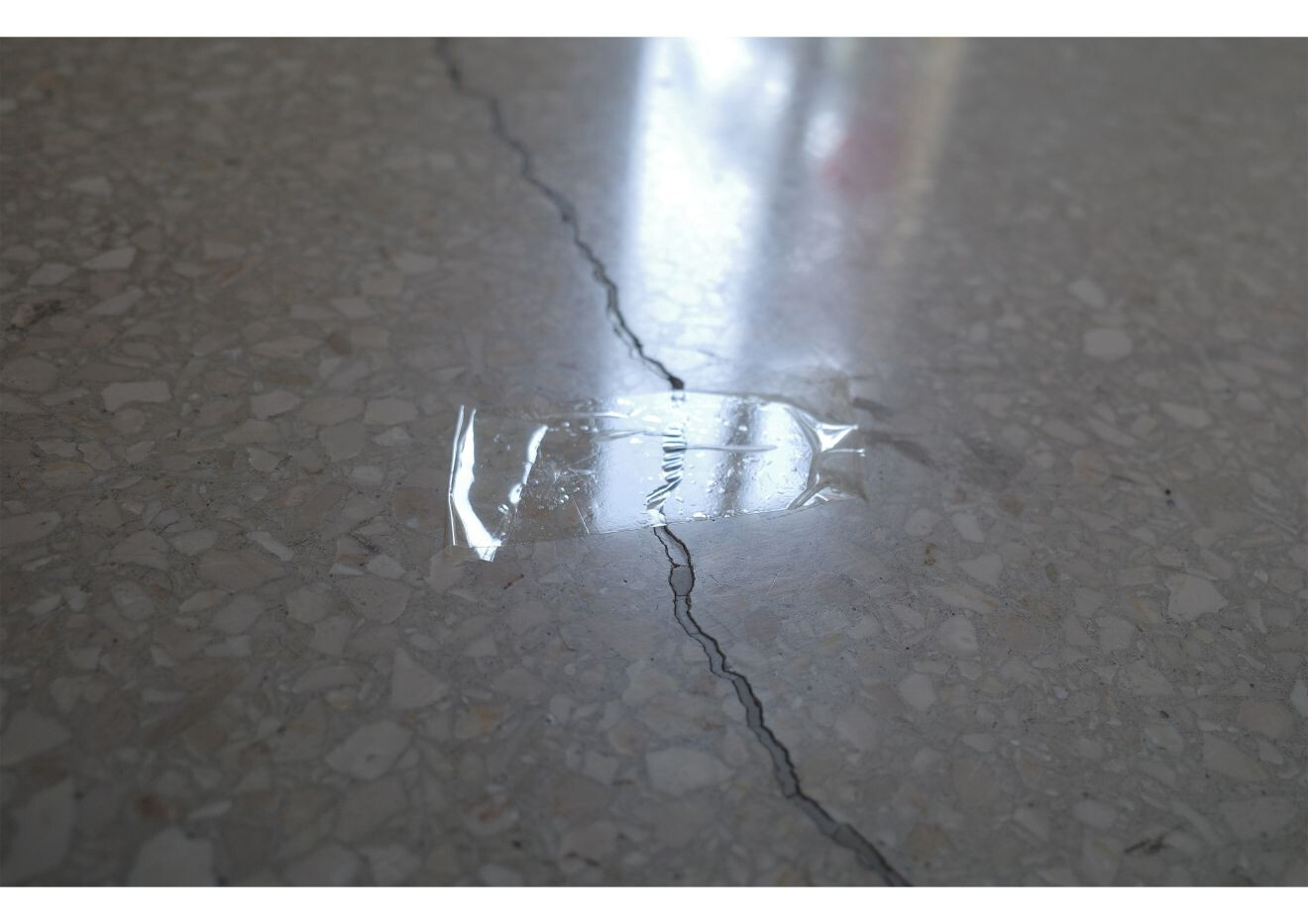 copertina di Scultura > fotografia < paesaggio Teorie e pratiche di intervento nell'ambiente