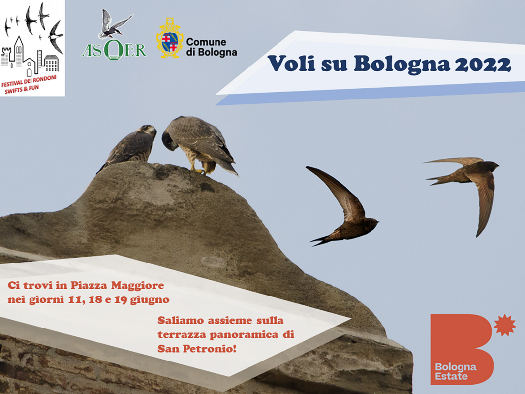 copertina di Voli su Bologna: il centro storico e i suoi abitanti