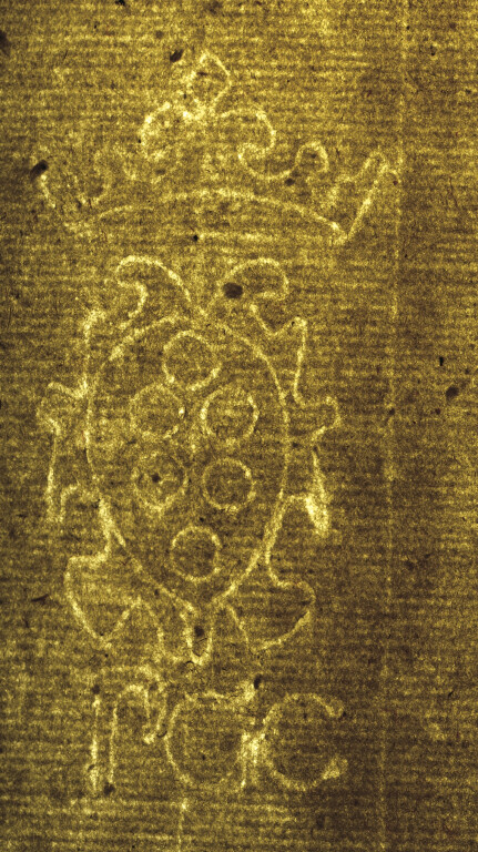 image of ID. 138 stemma Medici, PGC