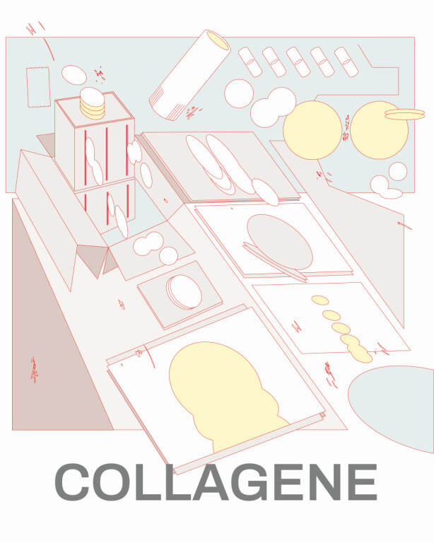 copertina di COLLAGENE  | Seconda parte febbraio-maggio 2026