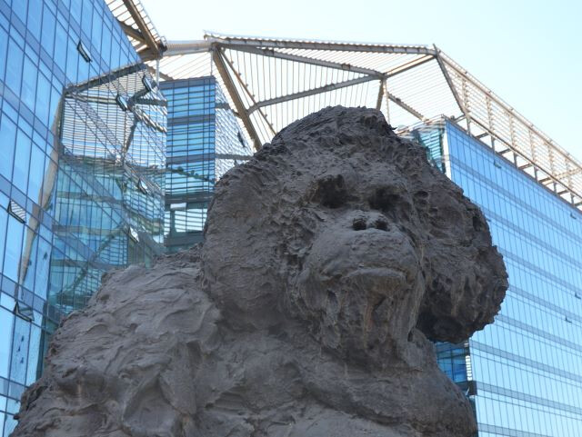Orangutan