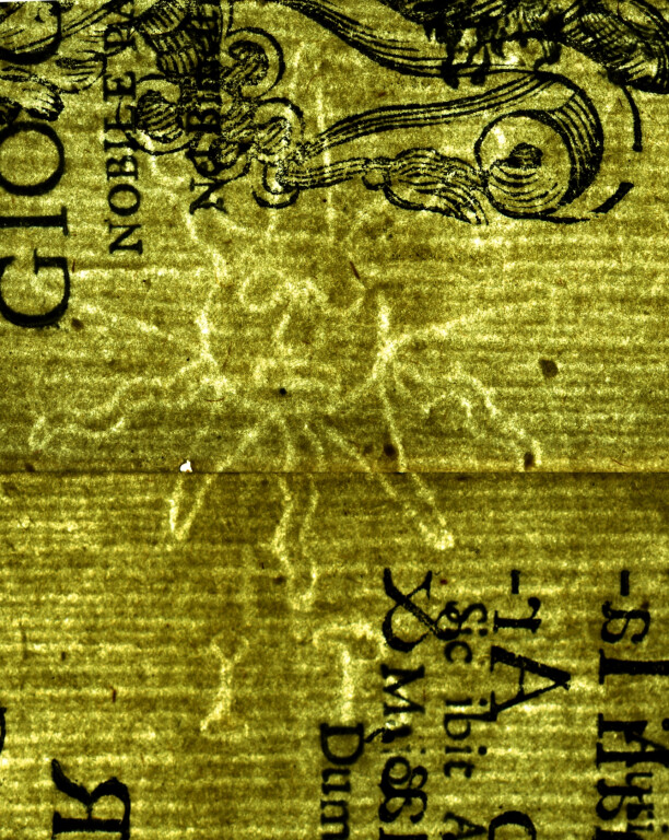 image of ID. 143 sole, IB