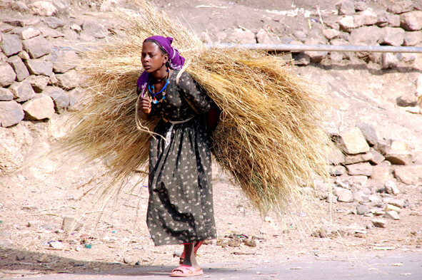 Giovane contadina amhara - Sambate - Etiopia - 2011