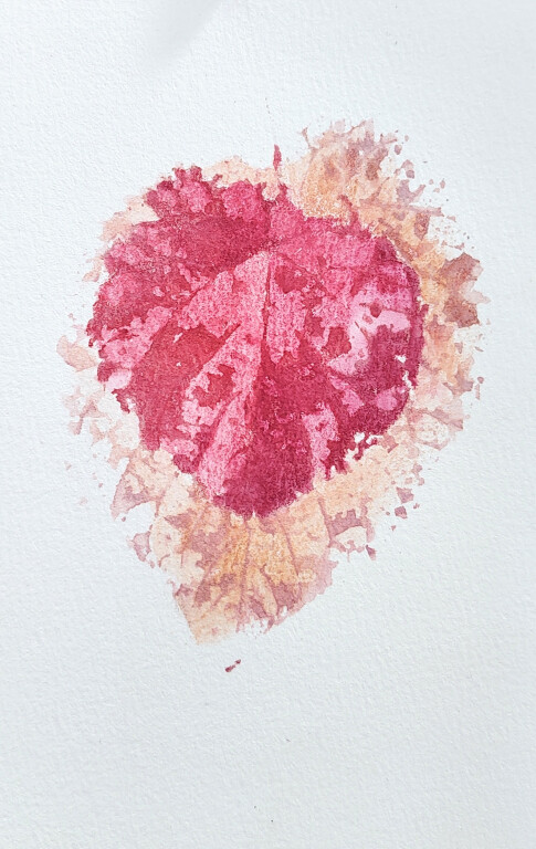 copertina di Armonia nella natura