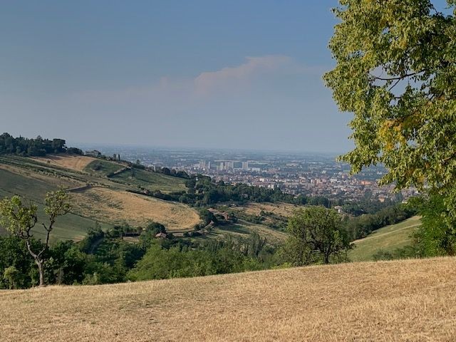 copertina di Monte Donato