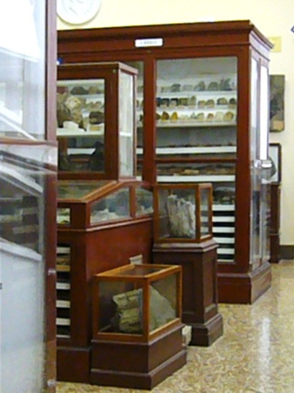 Museo di geologia "Giovanni Capellini"