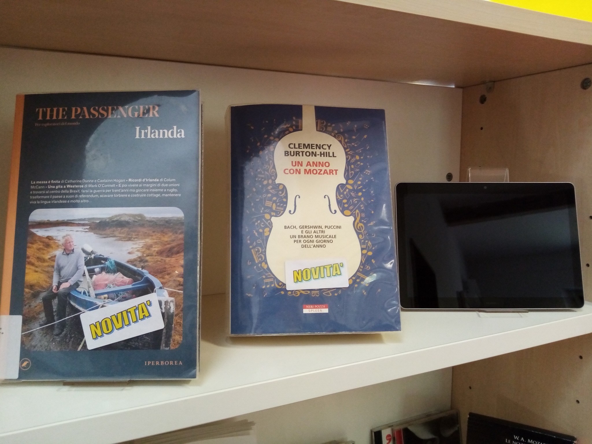 copertina di E-book e biblioteca online