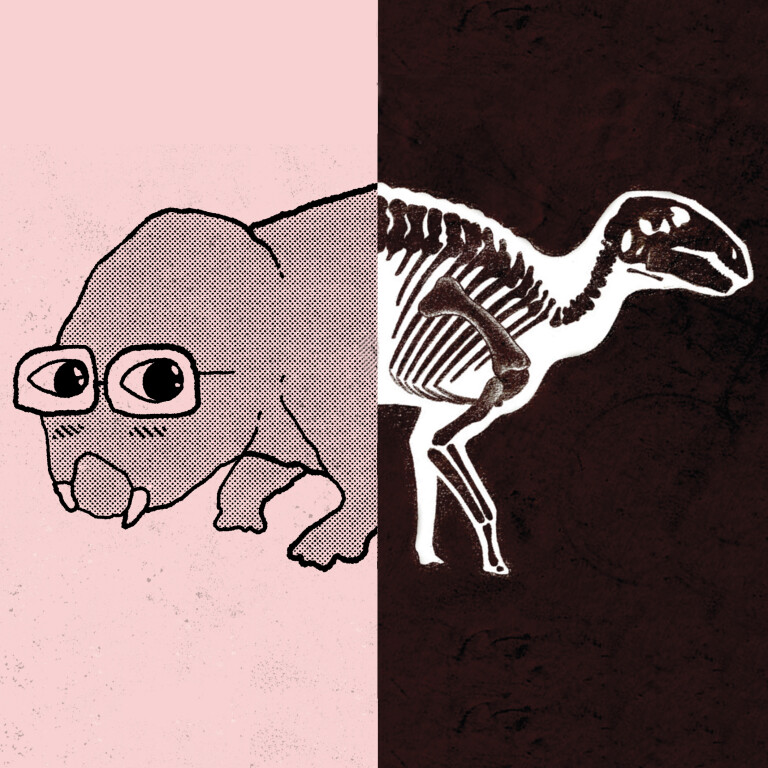 immagine di C’è un libro al museo! Albi illustrati e divulgazione scientifica per ragazzi