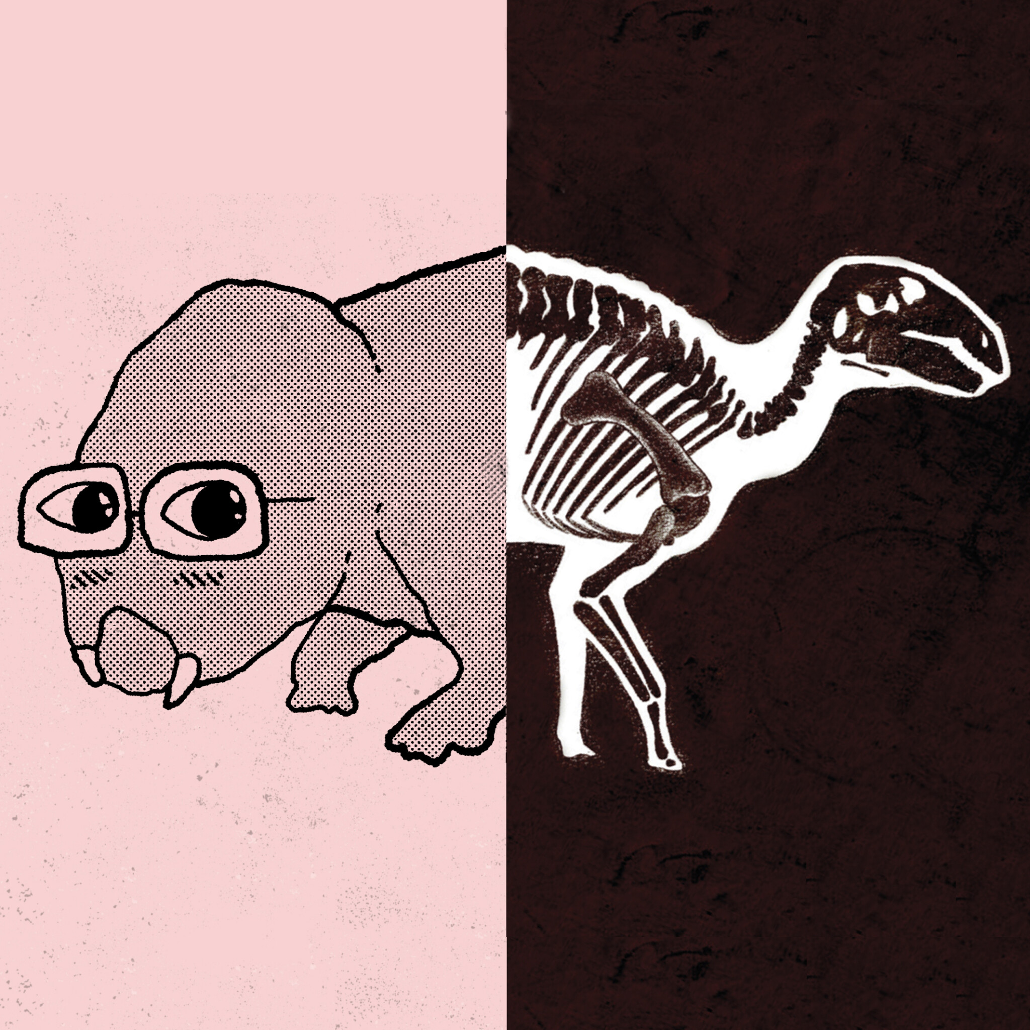 copertina di C’è un libro al museo! Albi illustrati e divulgazione scientifica per ragazzi