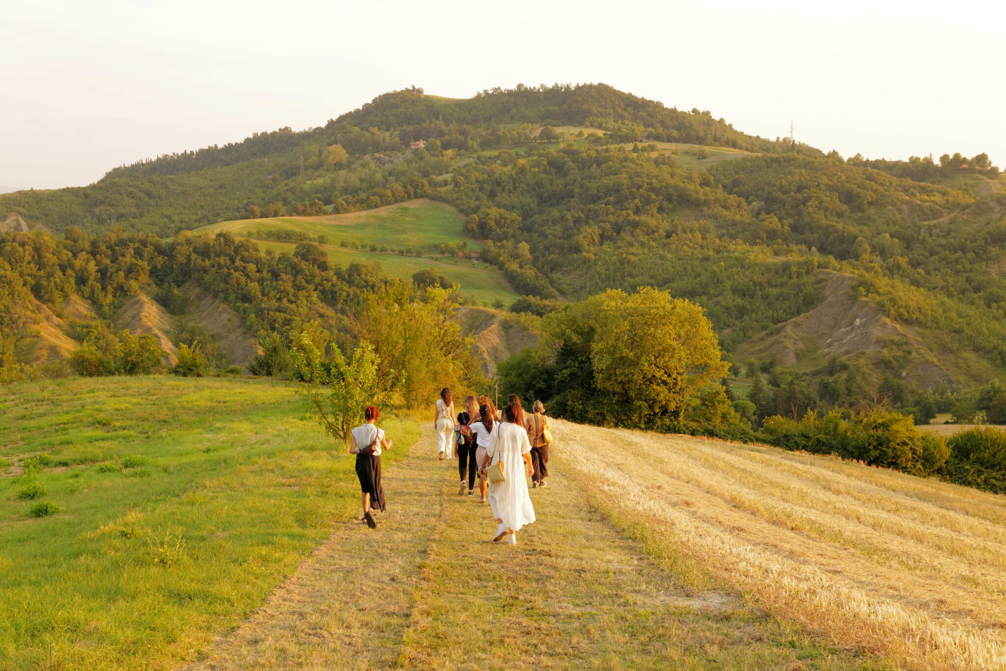 Tra gli alberi walk 