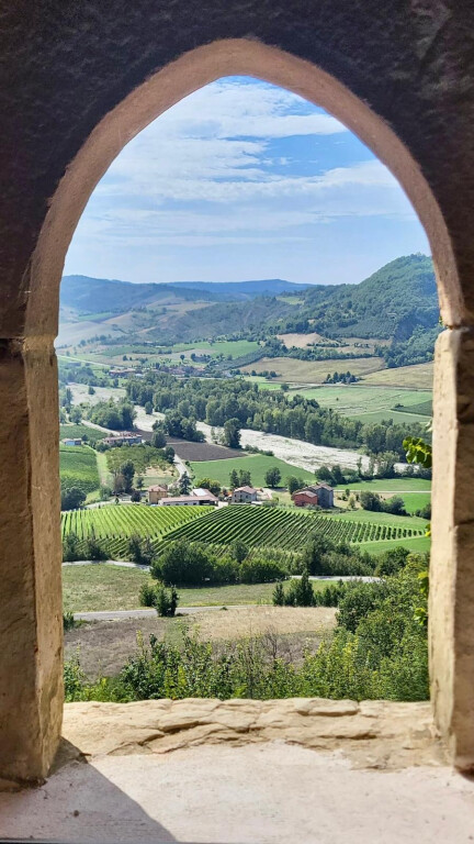 immagine di 