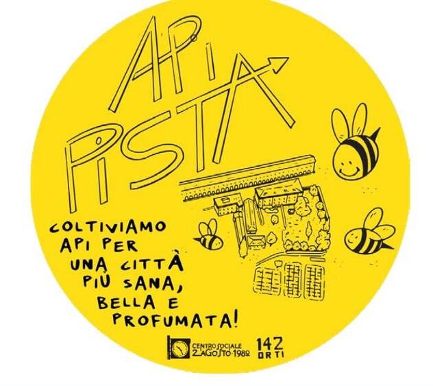 copertina di API PISTA