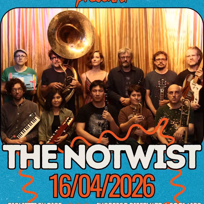 immagine di THE NOTWIST