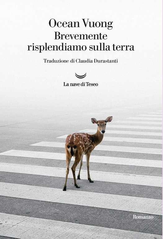 copertina di Brevemente risplendiamo sulla terra