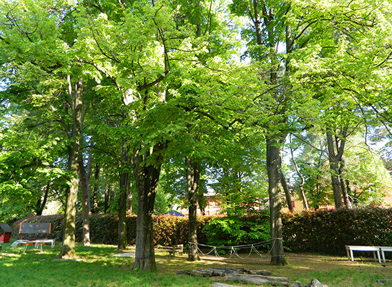 image of Servizi estivi per chi ha da 0 a 18 anni