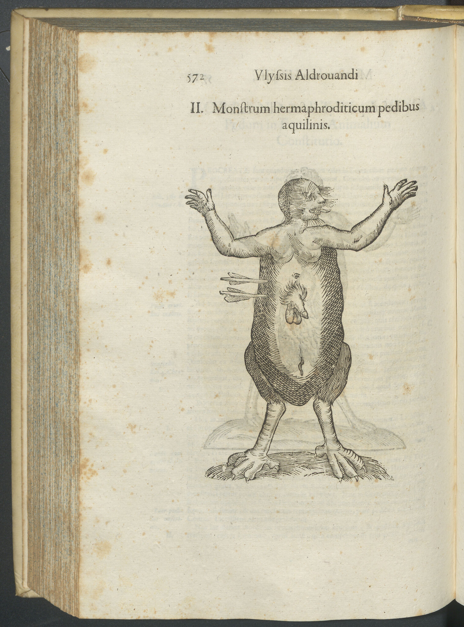 Ulisse Aldrovandi, Monstrorum historia (1657)