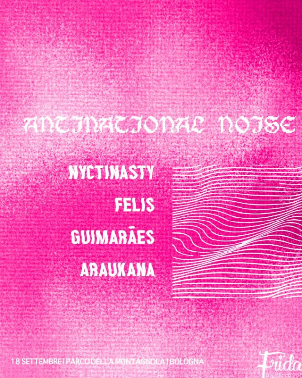 immagine di Antinational Noise