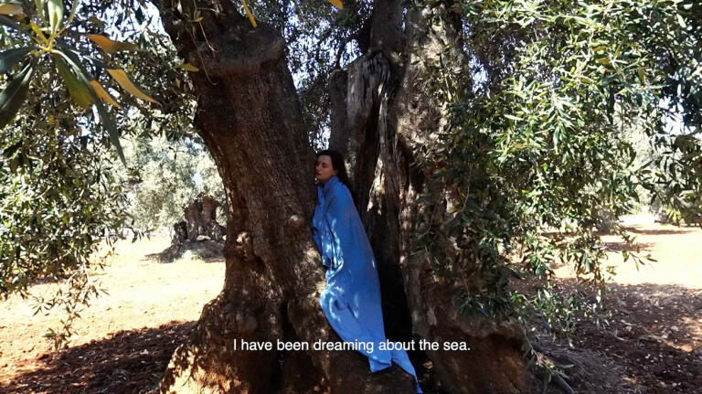 copertina di Vi sogno che saltate