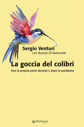 colibri pendragon.jpg