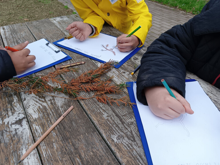 immagine di Intrecci tra natura e libri