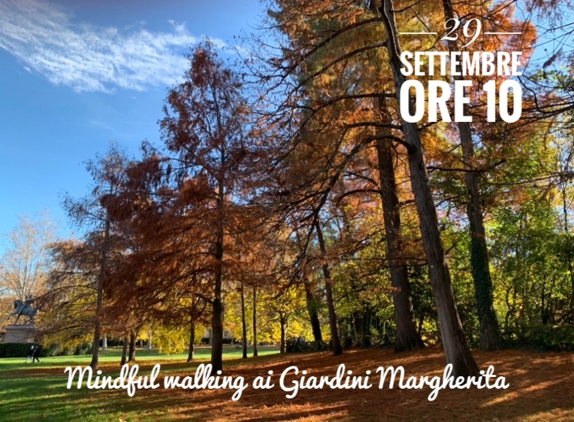 copertina di REST: Mindfulness in movimento in natura con la MINDFUL WALKING