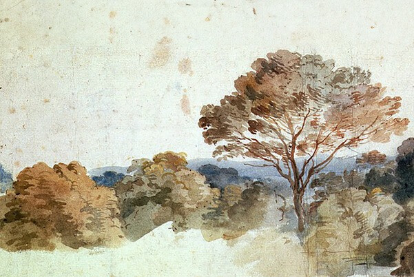 immagine di Le linee del mondo