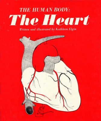 immagine di The uman body: the heart