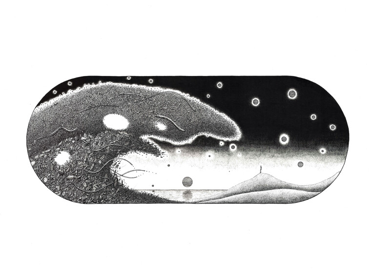 image of Look up | mostra