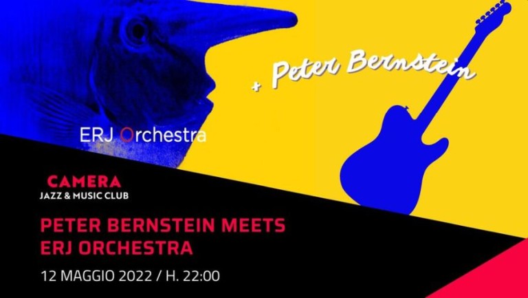 cover of Peter Bernstein meets ERJ Orchestra