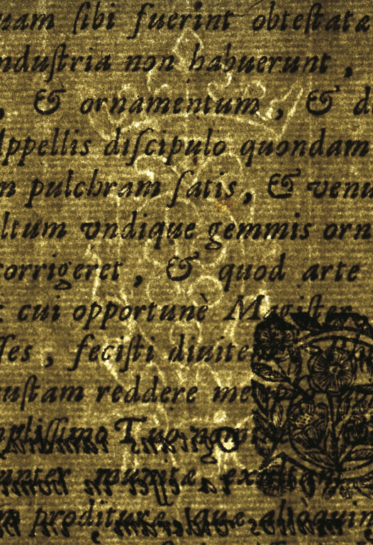 image of ID. 135 stemma Medici, PGC
