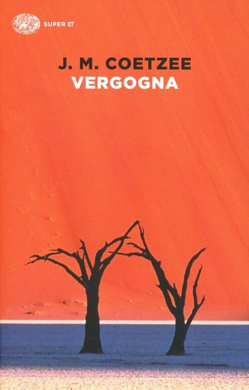 copertina di Vergogna