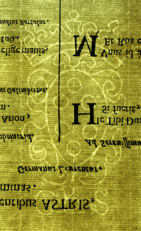 image of ID. 84 stemma Medici, GBS