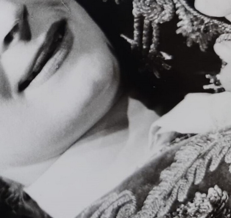 immagine di Collagene | VII serata