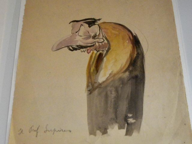 Caricatura del prof. Igino Benvenuto Supino